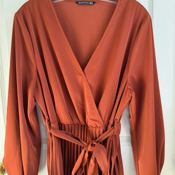 BloomChic Rust Long Sleeve Dress - Picture 4 of 6